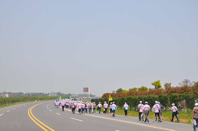 BG大游(中国)唯一官方网站