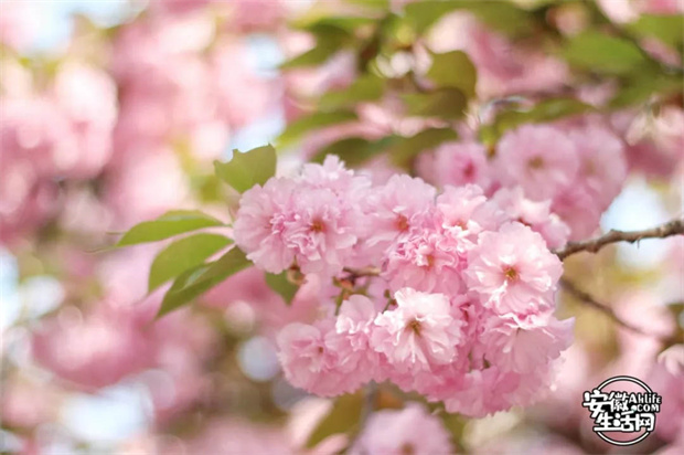 BG大游(中国)唯一官方网站