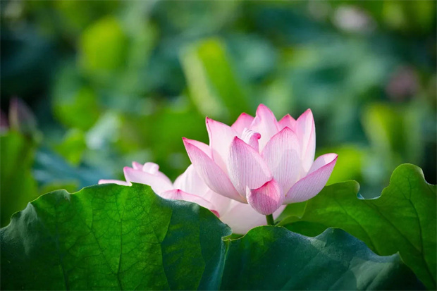 BG大游(中国)唯一官方网站