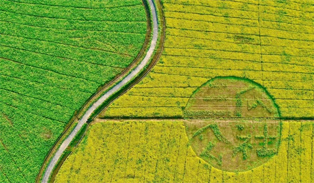 BG大游(中国)唯一官方网站