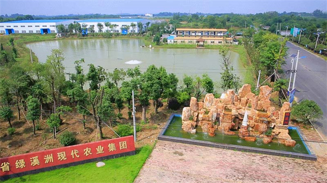 BG大游(中国)唯一官方网站