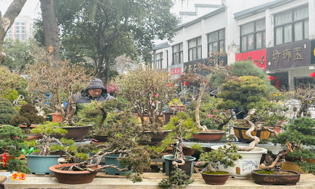 BG大游(中国)唯一官方网站