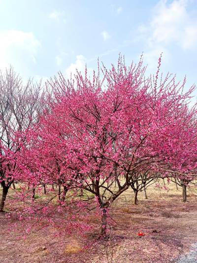 BG大游(中国)唯一官方网站