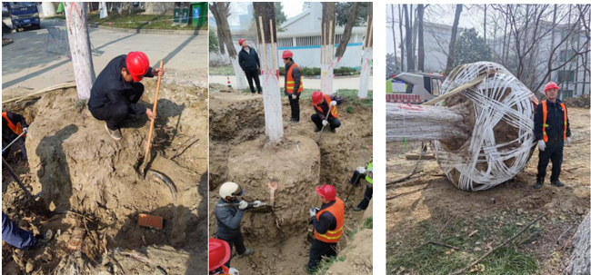 BG大游(中国)唯一官方网站