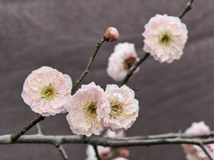BG大游(中国)唯一官方网站