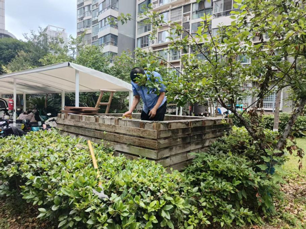 BG大游(中国)唯一官方网站